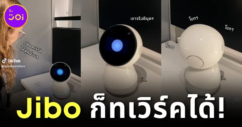Jibo robot show twerk