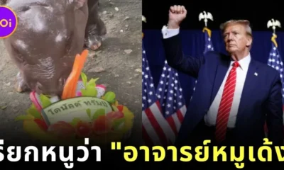 ชาวเน็ตแห่ซูฮก "อาจารย์หมูเด้ง" หลังทำนายผลการเลือกตั้งประธานาธิบดีสหรัฐฯ ได้แม่น!