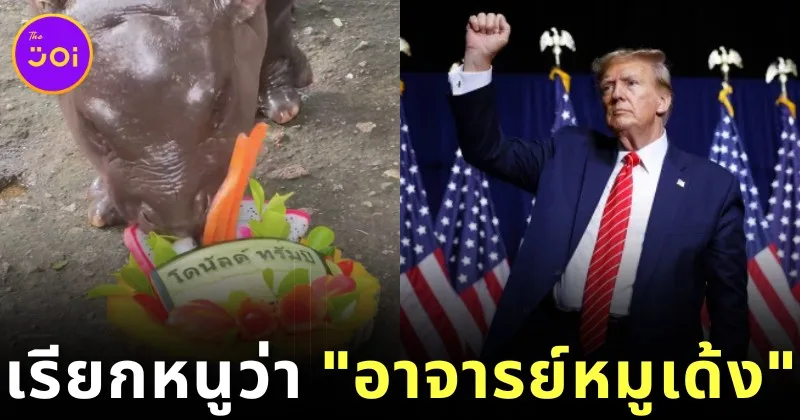 ชาวเน็ตแห่ซูฮก "อาจารย์หมูเด้ง" หลังทำนายผลการเลือกตั้งประธานาธิบดีสหรัฐฯ ได้แม่น!