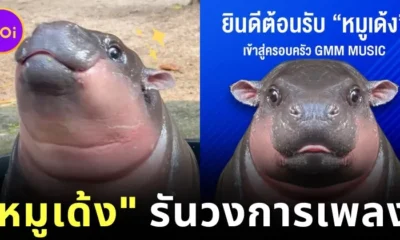 "หมูเด้ง" รันวงการเพลง! ปล่อยเพลงใหม่ 2 ซิงเกิ้ล มีทั้งหมด 4 ภาษา ภายใต้สังกัด "GMM MUSIC"