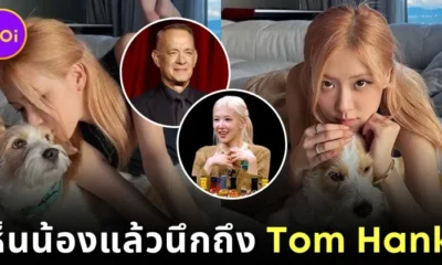"โรเซ่ BLACKPINK" ตั้งชื่อหมาว่า "แฮงส์ (Hanks)" เพราะเห็นหน้าน้องแล้วนึกถึง "ทอม แฮงส์ (Tom Hanks)"