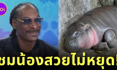 ตกหลุมรักน้องอีกหนึ่ง! "สนูป ด็อกด์ (Snoop Dogg)" แร็ปเปอร์ดังระดับโลก เผยเป็นแฟนคลับ "หมูเด้ง" แถมยังชมว่าสวยไม่หยุด
