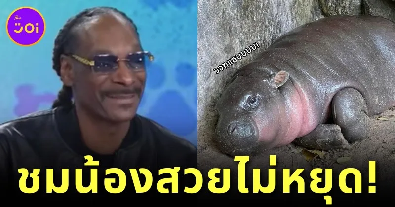 ตกหลุมรักน้องอีกหนึ่ง! "สนูป ด็อกด์ (Snoop Dogg)" แร็ปเปอร์ดังระดับโลก เผยเป็นแฟนคลับ "หมูเด้ง" แถมยังชมว่าสวยไม่หยุด