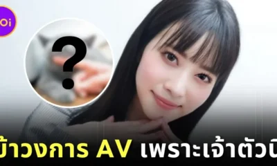 "โทโมะ ชิราอิวะ (Tomo Shiraiwa)" เผยเหตุผลที่เลิกเป็นไอดอล แล้วผันตัวมาเป็น "นางเอก AV" เพราะอยากเลี้ยงแมว?!