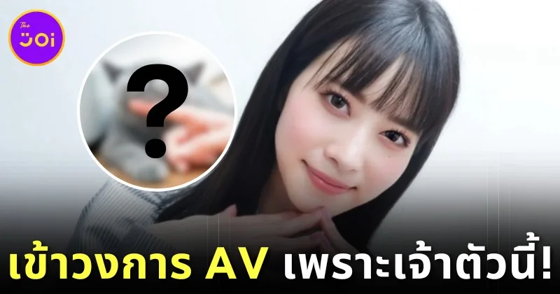 "โทโมะ ชิราอิวะ (Tomo Shiraiwa)" เผยเหตุผลที่เลิกเป็นไอดอล แล้วผันตัวมาเป็น "นางเอก AV" เพราะอยากเลี้ยงแมว?!