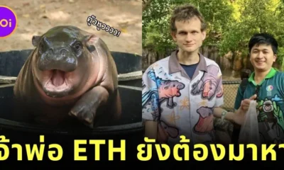 ซูเปอร์สตาร์เนื้อหอมของแทร่! "วิทาลิก บูเทอริน (Vitalik Buterin)" มหาเศรษฐีผู้สร้างเหรียญ "ETH" ยังต้องมาหา "หมูเด้ง" ถึงสวนสัตว์เปิดเขาเขียว!