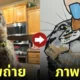I will poorly draw your cat ภาพวาดแมว Squishedsteak 