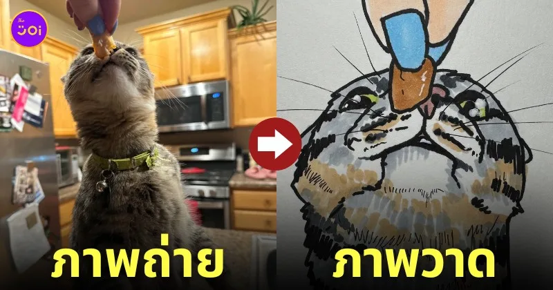I will poorly draw your cat ภาพวาดแมว Squishedsteak 