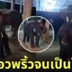 คลิป ช้าง น้องเพชรพันล้าน เต้น TikTok