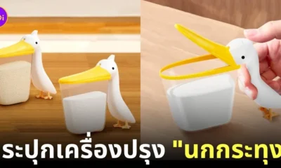 กระปุกใส่เครื่องปรุงรูปนกกระทุง