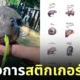 สติกเกอร์ไลน์ หมูเด้ง official