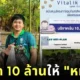 Vitalik Buterin Donate 10 million bath to build new habitat for Moo Deng