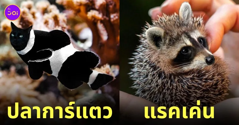 ภาพตัดต่อ Animal Hybrids สัตว์โลกผสมข้ามสายพันธุ์ Photoshop