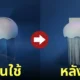 เครื่องทำลายเอกสาร แมงกะพรุน