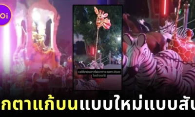 สาวแชร์คลิปคุณพ่อเจอตุ๊กตายีราฟแก้บนแบบใหม่แบบสับ ถูกใจชาวเน็ตจนกลายเป็นไวรัล!