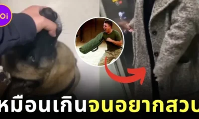 เจ้าของบีบปากสุนัขไม่ให้อ้าสุดชีวิต หลังน้องเห็นเสื้อโอเวอร์โค้ทผู้หญิงเป็นสนับแขนฝึกกัด!