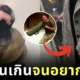 เจ้าของบีบปากสุนัขไม่ให้อ้าสุดชีวิต หลังน้องเห็นเสื้อโอเวอร์โค้ทผู้หญิงเป็นสนับแขนฝึกกัด!