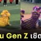 เผยคลิปเมื่อคน Gen Z มาเชิดสิงโตเฉลิมฉลองเทศกาลตรุษจีน ลีลาการแสดงก็จะแซ่บหน่อย ๆ