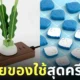 ไอเดียของใช้สุดครีเอท อิชิคาวะ คาซึยะ