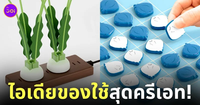 ไอเดียของใช้สุดครีเอท อิชิคาวะ คาซึยะ