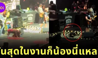 มันสุดในงานก็น้องนี่แหละ! น้องหมาร็อตไวเลอร์บุกขึ้นเวทีคอนเสิร์ตวง "Sublime" ก่อนโชว์เต้นสะบัดจนเป็นไวรัล!