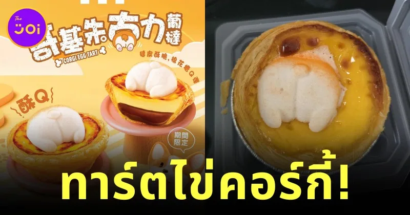 เอาใจทาสหมา! KFC ฮ่องกงวางจำหน่ายทาร์ตไข่ช็อกโกแลตคอร์กี้ ที่ทั้งน่ารักน่ากินจนเป็นไวรัล!