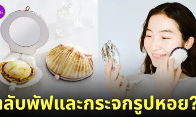 ตลับพัฟและกระจกรูปหอยนางรมและหอยเชลล์ Felissimo