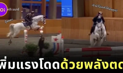 ไวรัล! เจ้าม้าแข่งขี้ตื่นเต้นผายลมทุกครั้งที่กระโดดข้ามรั้ว ชาวเน็ตแห่แซว "ดีที่มีแต่ลมไม่มีเนื้อ"
