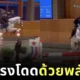 ไวรัล! เจ้าม้าแข่งขี้ตื่นเต้นผายลมทุกครั้งที่กระโดดข้ามรั้ว ชาวเน็ตแห่แซว "ดีที่มีแต่ลมไม่มีเนื้อ"