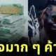 สุนัขตำรวจฉีกยิ้มกว้างทำหน้าตาภูมิใจสุดขีด หลังตรวจยึดของกลางจำนวนมหาศาลได้ตั้งแต่งานแรก
