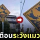 ภาพป้ายเตือนระวังแมวกระโดดออกมาที่ญี่ปุ่น