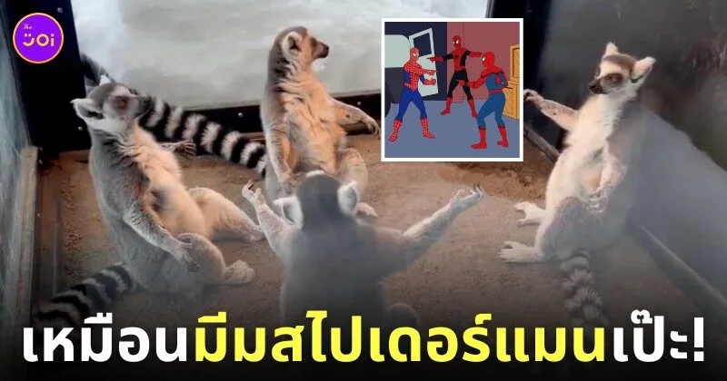 แก๊งลีเมอร์ มีมสไปเดอร์แมน