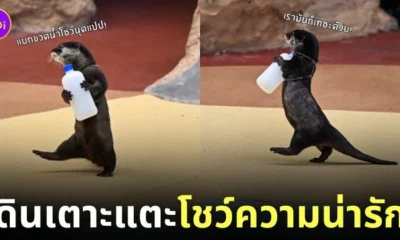 ภาพนากเด็กเดินถือขวดน้ำ ญี่ปุ่น