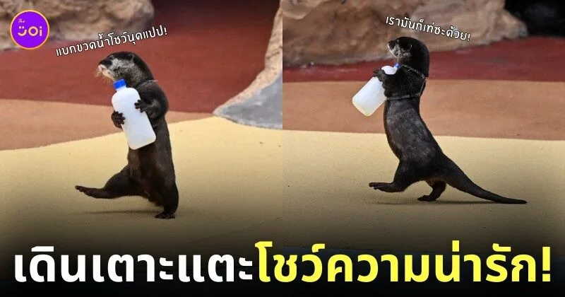 ภาพนากเด็กเดินถือขวดน้ำ ญี่ปุ่น
