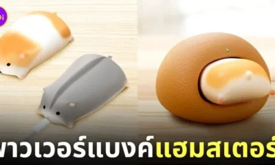 พาวเวอร์แบงค์หนูแฮมสเตอร์