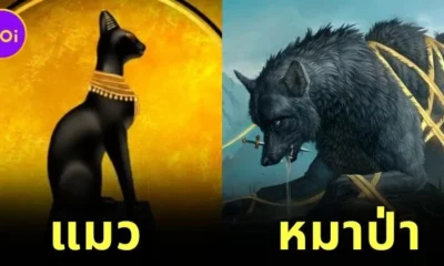 รู้จัก 8 สัตว์ศักดิ์สิทธิ์ที่ถูกเคารพบูชาในวัฒนธรรมโบราณทั่วโลก