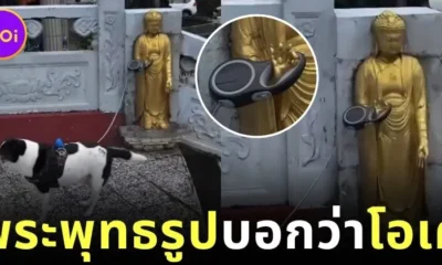ชาวเน็ตแห่แชร์คลิปเจ้าของฝากสุนัขไว้กับพระพุทธรูป หลังบุดด้าทำมือ "โอเค"