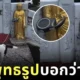ชาวเน็ตแห่แชร์คลิปเจ้าของฝากสุนัขไว้กับพระพุทธรูป หลังบุดด้าทำมือ "โอเค"