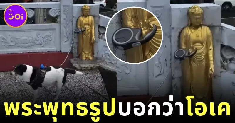 ชาวเน็ตแห่แชร์คลิปเจ้าของฝากสุนัขไว้กับพระพุทธรูป หลังบุดด้าทำมือ "โอเค"