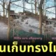 เผยคลิปหาดูยากของนกอีมูลื่นลงเขา ที่จะทำให้ทุกคนรู้ว่า "แม้แต่นกก็มีวันที่แย่เหมือนกัน"
