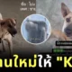 "K9 USAR THAILAND" รับดูแลและหาบ้านใหม่ให้สอง “K-จร” ฮีโร่ผู้ภักดี หลังเหตุการณ์ตึกสตง. ถล่ม