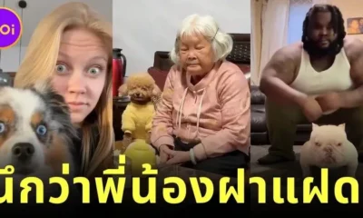 LikeownerLikedog clip