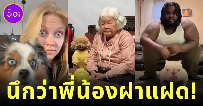 LikeownerLikedog clip