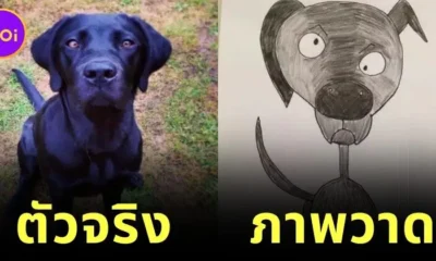 หนุ่มอังกฤษวาดรูปสัตว์กาก ๆ ก่อนถูกประมูลไปเป็นเงินกว่า 17 ล้านบาท!