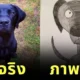 หนุ่มอังกฤษวาดรูปสัตว์กาก ๆ ก่อนถูกประมูลไปเป็นเงินกว่า 17 ล้านบาท!