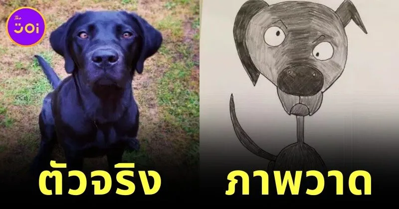 หนุ่มอังกฤษวาดรูปสัตว์กาก ๆ ก่อนถูกประมูลไปเป็นเงินกว่า 17 ล้านบาท!