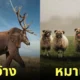 ภาพตัดต่อ Animal Hybrids สัตว์โลกผสมข้ามสายพันธุ์ Photoshop