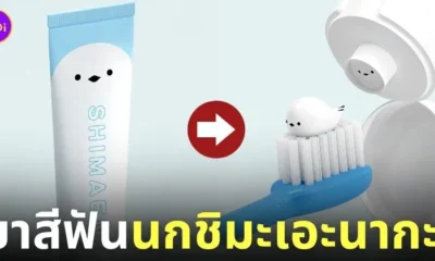 ยาสีฟันนกชิมะเอะนากะ