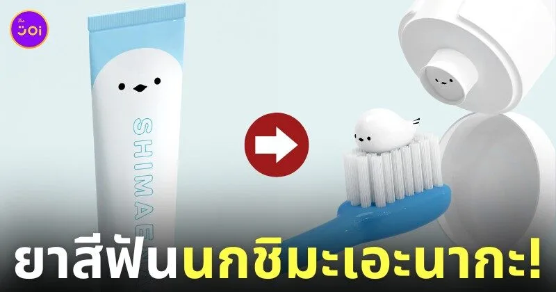 ยาสีฟันนกชิมะเอะนากะ