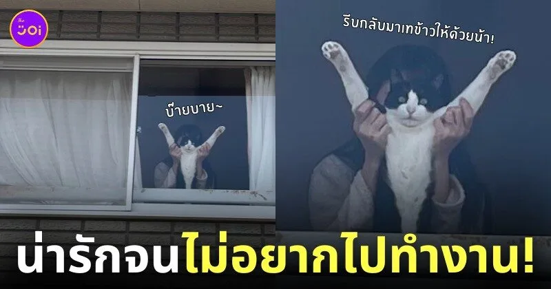 ภาพภรรยายืนอุ้มน้องแมวส่งสามีไปทำงาน